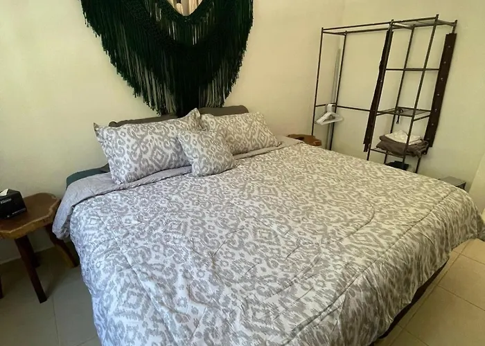Casa Del Conejo *